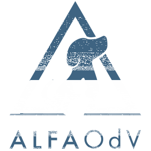 AlfaOdv partner